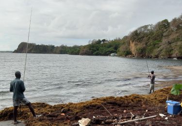 Excursión Senderismo Sainte-Marie - Belle étoile  vers la pointe Lahoussaye par Anse du four - Photo