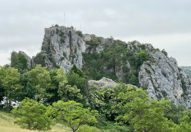 Tocht Stappen Rougon - TM-Rougon : Mourre du Chanier - Photo