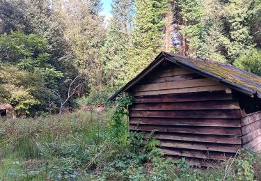 Trail Walking Esneux - mon E d'Esneux - Photo