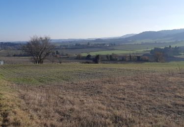 Tocht Stappen Villasavary - de Besplas aux antennes par le guariguet - Photo