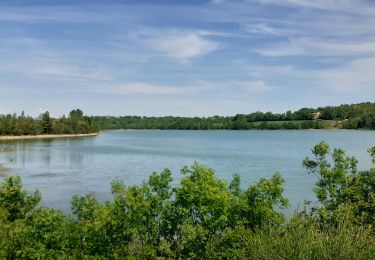 Tocht Stappen Cagnac-les-Mines - Saint Sernin les Mailhoc version 2 - Photo