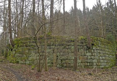 Excursión A pie Hohnstein - Rund um Ulbersdorf - Photo