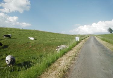 Trail Mountain bike Virton - Montquintin et Villers-la-Loue - Balade_VTT_19Kms - Photo