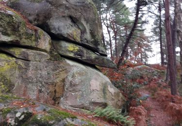 Trail Walking Fontainebleau - cabaret masson  - Photo