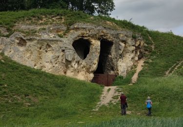 Randonnée Marche Riemst - A la découverte de la Montagne Saint-Pierre - Photo