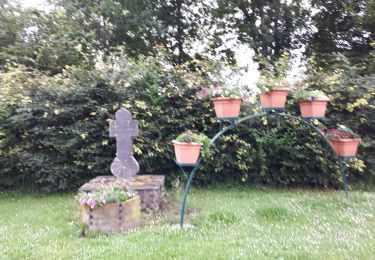 Percorso Marcia Houffalize - Les Tailles  - Photo