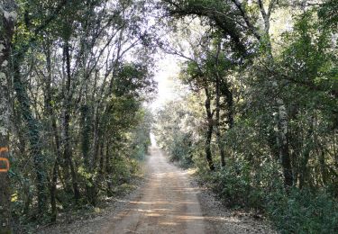 Trail Nordic walking Lagorce - Gour de la Somp reconnaissance pertus de fabria - Photo