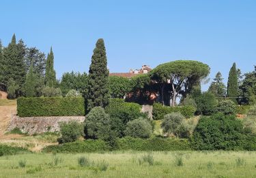 Trail Walking Sarzana - CR_Francigena_CH_31_Sarzana_Carrare-Avenza_20220614 - Photo