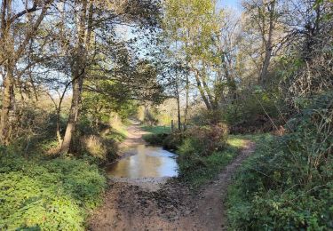 Tour Wandern Périgneux - Boucle Marieux -Fressonnais - Photo