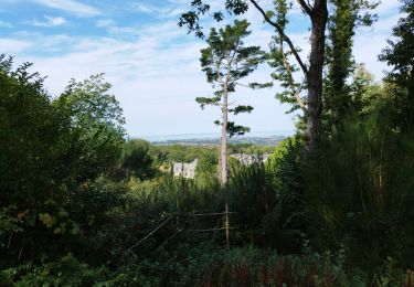 Tour Wandern Locronan - La randonnée de Locronan par mes chemins creux  - Photo