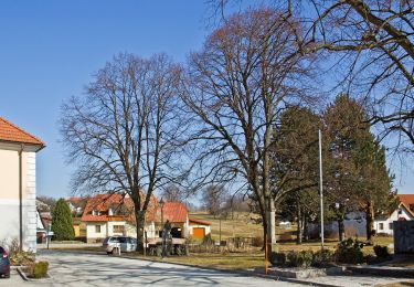 Trail On foot Gemeinde Großschönau - Frauhausweg - Photo