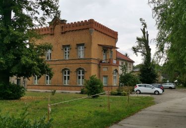 Tour Zu Fuß Königs Wusterhausen - Stadtwanderung Königs Wusterhausen - Photo