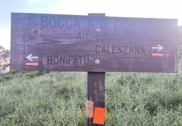 Trail Walking Calenzana - Rando Calenzana Bonifatu - Photo