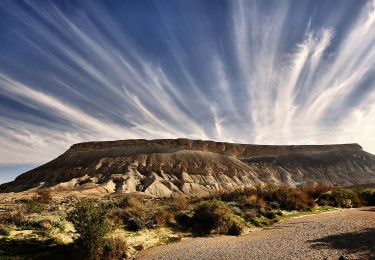 Excursión A pie מועצה אזורית רמת נגב - נחל צרור - Photo