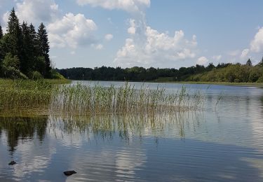 Trail On foot Les Crozets - Les Crozets-Lac d'Etival - Photo
