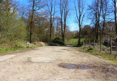 Tocht Te voet  - Threave Estate Walk - Photo