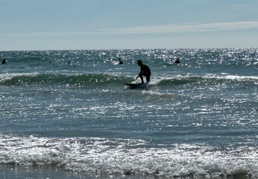 Tour Wandern Vendays-Montalivet - Marée basse Montalivet - Photo