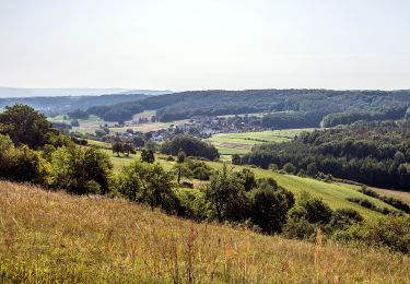 Tour Zu Fuß Viereth-Trunstadt - Rundweg Priesendorf P 3 