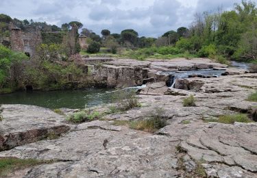Randonnée Marche Vidauban - Chebreguin, l'Eusclade et la Miquelette - Photo