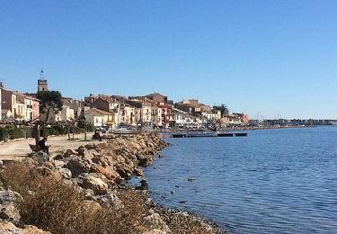 Trail Walking Bouzigues - Terre et mer à Bouzigues - Photo