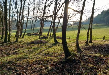 Trail Walking Arches - arches nouvel an - Photo