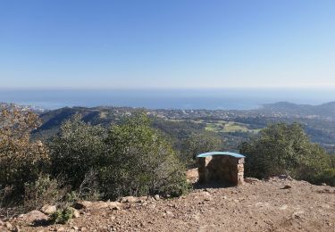 Tour Wandern Sainte-Maxime - Sainte-Maxime, le Déffend - Photo