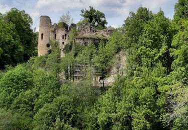 Percorso Marcia Oberlarg - oberlag- château de morimont  - Photo