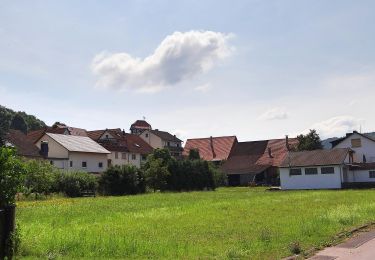 Tour Zu Fuß Ringgau - Premiumweg P20 Ulfener Karst - Photo