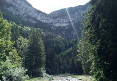 Trail Walking Saint-Pierre-d'Entremont - Cirque de Même  - Photo