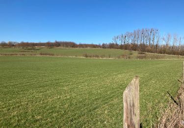 Tour Wandern Borgloon - Broekhem - Photo