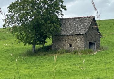 Trail sport Golinhac - Saint-Jacques, 2024, deux étape cinq - Photo