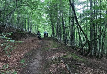 Percorso Mountainbike Urrugne - Iraty 2  - Photo