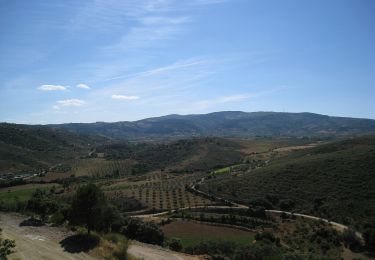 Tour Zu Fuß Chacim - Rota de Balsamão - Photo