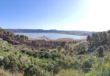 Tocht Te voet Saint-Mitre-les-Remparts - Forêt de Castillon Etang de Saint-Blaise - Photo