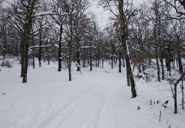 Trail Cross-country skiing Escragnolles - panoramique enneigé - Photo