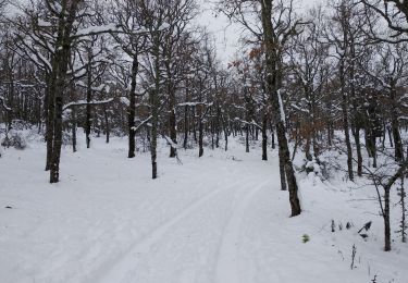 Randonnée Ski de fond Escragnolles - panoramique enneigé - Photo