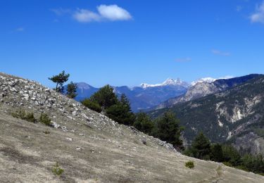 Excursión Senderismo Sigoyer - Tour de la petite céüze - Photo