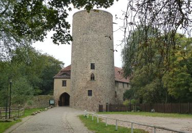 Percorso A piedi Rabenstein/Fläming - Naturparkrundwanderweg 42 - Photo