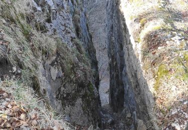 Excursión Senderismo Foncine-le-Haut - Foncine le haut - Photo