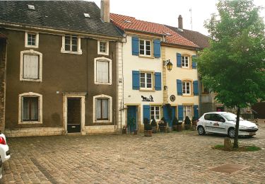 Tour Zu Fuß Püttlingen - CV Les chemins de l'insolite (Rodemack-Puttelange) - Photo