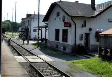 Excursión A pie Hlubočky - [Z] Mariánské údolí - Velká Bystřice - Photo