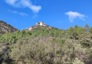 Randonnée Marche Félines-Minervois - félines Minervois - Photo