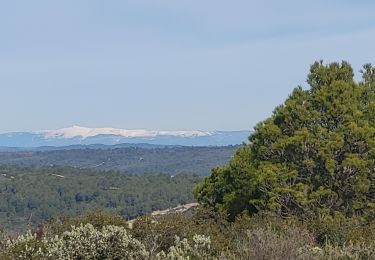 Tocht Stappen Aix-en-Provence - la Merendole le jas des vaches - Photo