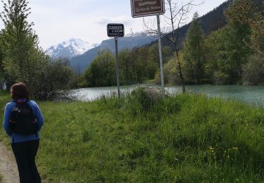 Tocht Noords wandelen Savièse - bini  - Photo