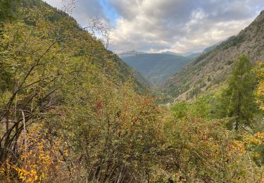 Trail Walking Saint-Étienne-de-Tinée - Lacs de Vens - Photo