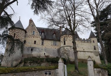 Tour Wandern Fondettes - Fondettes Vallières - Luynes Le Vieux-Bourg - 26.1km 360m 5h30 (45mn) - 2024 12 11 - Photo