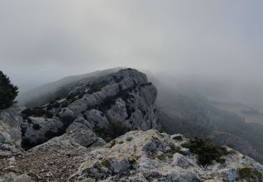 Trail Walking Eyguières - Autour d'Eyguières - Photo