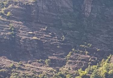 Tour Wandern Beuil - le challas - Photo