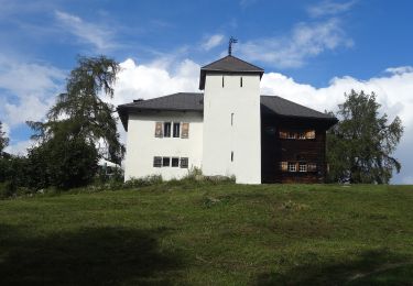 Trail On foot Nendaz - Mayens-de-Sion ouest - Planchouet - Photo