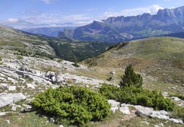 Trail Walking Le Dévoluy - Tête de Plate Longue - Photo